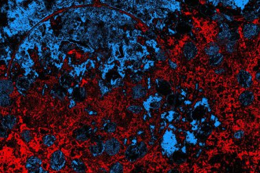 soyut mavi ve kırmızı doku, grunge arkaplan, boşluk duvar kağıdını kopyala