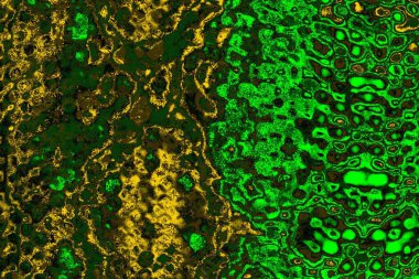 soyut yeşil doku arkaplanı, boşluk duvar kağıdını kopyala