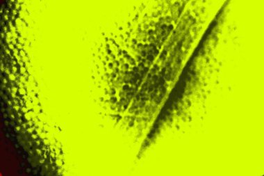 Soyut pejmürde bir doku. Asit grunge arkaplanı, metin veya reklamınız için boşluk resmini kopyala