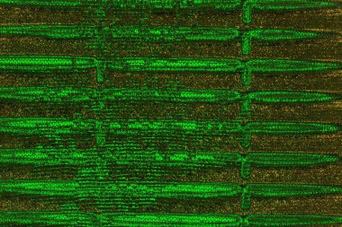 Soyut renk dokusu, grunge arkaplanı, boşluk duvar kağıdını kopyala