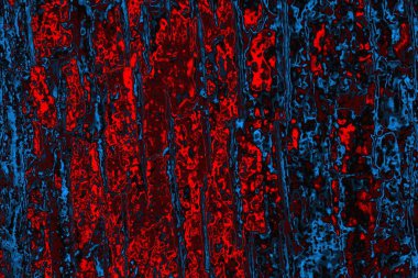 Soyut renk dokusu, grunge arkaplanı, boşluk duvar kağıdını kopyala