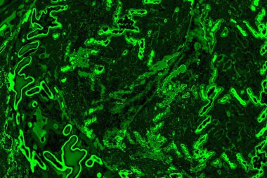 yeşil doku arkaplanı, boşluk duvar kağıdını kopyala