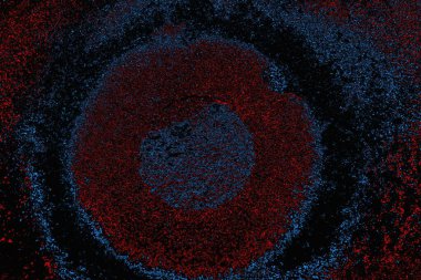 soyut mavi ve kırmızı doku, grunge arkaplan, boşluk duvar kağıdını kopyala