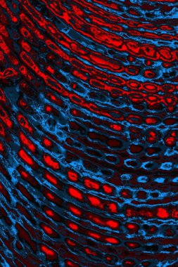 soyut doku, grunge arkaplan, boşluk duvar kağıdını kopyala     