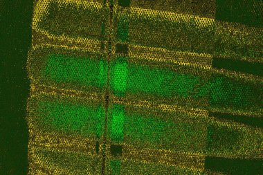 Soyut renk dokusu, grunge arkaplanı, boşluk duvar kağıdını kopyala