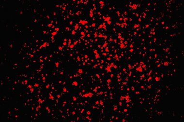 Soyut renk dokusu, grunge arkaplanı, boşluk duvar kağıdını kopyala