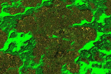 soyut yeşil doku arkaplanı, boşluk duvar kağıdını kopyala