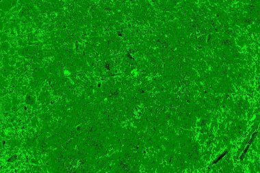 soyut yeşil doku arkaplanı, boşluk duvar kağıdını kopyala