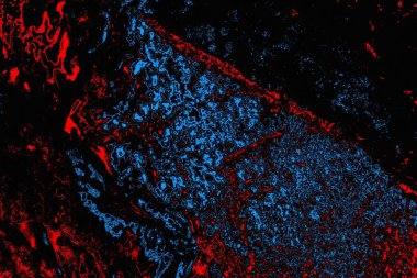 soyut mavi ve kırmızı doku, grunge arkaplan, boşluk duvar kağıdını kopyala