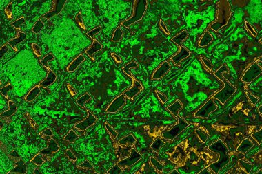 Soyut renk dokusu, grunge arkaplanı, boşluk duvar kağıdını kopyala