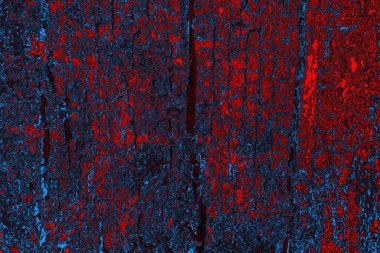 soyut mavi ve kırmızı doku, grunge arkaplan, boşluk duvar kağıdını kopyala