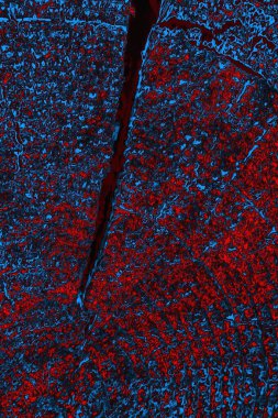 soyut doku, grunge arkaplan, boşluk duvar kağıdını kopyala   