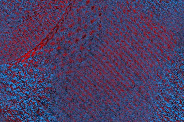 soyut mavi ve kırmızı doku, grunge arkaplan, boşluk duvar kağıdını kopyala