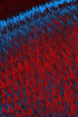 soyut doku, grunge arkaplan, boşluk duvar kağıdını kopyala     