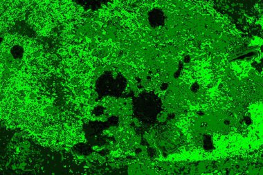 soyut yeşil doku arkaplanı, boşluk duvar kağıdını kopyala