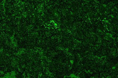 Soyut renk dokusu, grunge arkaplanı, boşluk duvar kağıdını kopyala