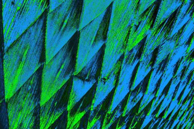 Boşluk duvar kağıdını, grunge arkaplanını, soyut renkli doku arkaplanını kopyala