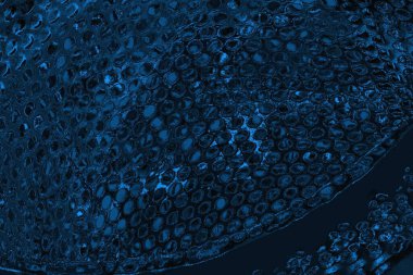 soyut doku, grunge arkaplan, boşluk duvar kağıdını kopyala      