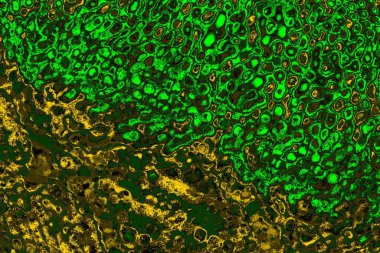 soyut yeşil doku arkaplanı, boşluk duvar kağıdını kopyala