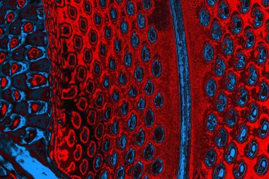 soyut mavi ve kırmızı doku, grunge arkaplan, boşluk duvar kağıdını kopyala