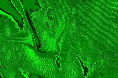 yeşil doku arkaplanı, boşluk duvar kağıdını kopyala