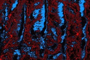 soyut mavi ve kırmızı doku, grunge arkaplan, boşluk duvar kağıdını kopyala