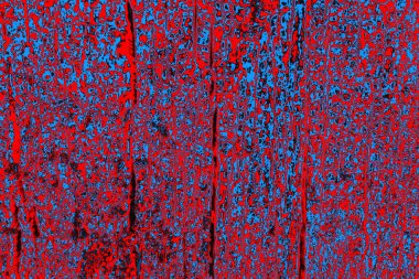 soyut mavi ve kırmızı doku, grunge arkaplan, boşluk duvar kağıdını kopyala