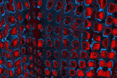 Soyut renk dokusu, grunge arkaplanı, boşluk duvar kağıdını kopyala