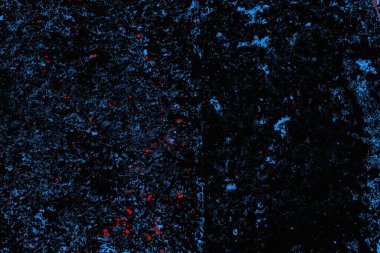 soyut mavi ve kırmızı doku, grunge arkaplan, boşluk duvar kağıdını kopyala