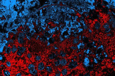 soyut mavi ve kırmızı doku, grunge arkaplan, boşluk duvar kağıdını kopyala