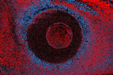 parlak kırmızı doku arkaplanı, boşluk duvar kağıdını kopyala