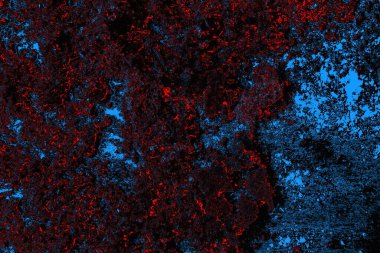 soyut mavi ve kırmızı doku, grunge arkaplan, boşluk duvar kağıdını kopyala