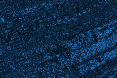 soyut doku, grunge arkaplan, boşluk duvar kağıdını kopyala     