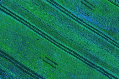 Boşluk duvar kağıdını, grunge arkaplanını, soyut renkli doku arkaplanını kopyala