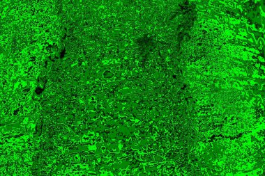 soyut yeşil doku arkaplanı, boşluk duvar kağıdını kopyala
