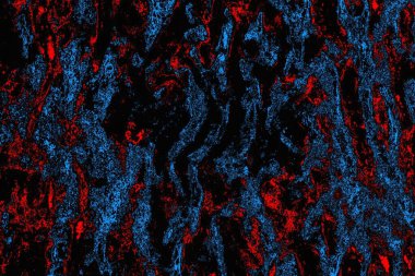 soyut mavi ve kırmızı doku, grunge arkaplan, boşluk duvar kağıdını kopyala