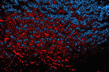 soyut mavi ve kırmızı doku, grunge arkaplan, boşluk duvar kağıdını kopyala