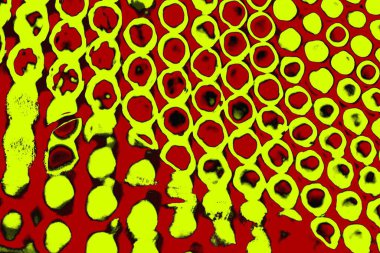 Soyut pejmürde bir doku. Asit grunge arkaplanı, metin veya reklamınız için boşluk resmini kopyala