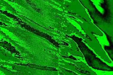 soyut yeşil doku, arkaplan, duvar kağıdını kopyala