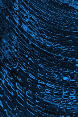 soyut doku, grunge arkaplan, boşluk duvar kağıdını kopyala      