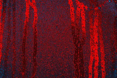 soyut mavi ve kırmızı doku, grunge arkaplan, boşluk duvar kağıdını kopyala