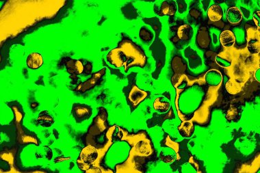 soyut yeşil doku arkaplanı, boşluk duvar kağıdını kopyala