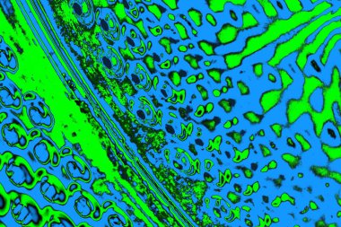 soyut yeşil doku, arkaplan, duvar kağıdını kopyala