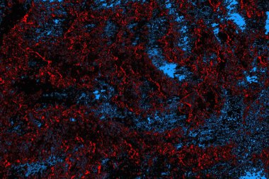 soyut mavi ve kırmızı doku, grunge arkaplan, boşluk duvar kağıdını kopyala