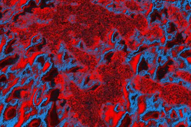 soyut mavi ve kırmızı doku, grunge arkaplan, boşluk duvar kağıdını kopyala