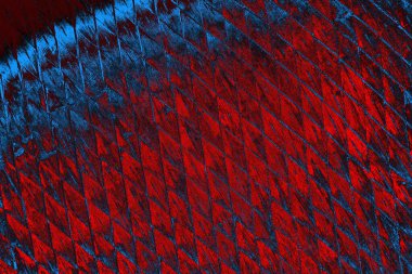 soyut doku, grunge arkaplan, boşluk duvar kağıdını kopyala     