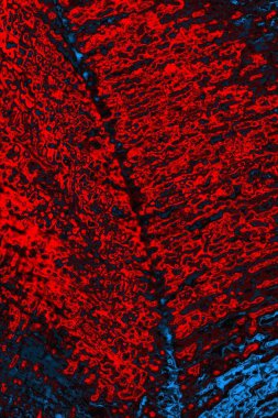 Soyut renk dokusu, grunge arkaplanı, boşluk duvar kağıdını kopyala