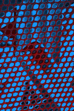 soyut doku, grunge arkaplan, boşluk duvar kağıdını kopyala     