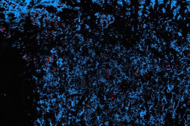 soyut mavi ve kırmızı doku, grunge arkaplan, boşluk duvar kağıdını kopyala