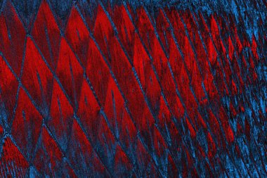 soyut doku, grunge arkaplan, boşluk duvar kağıdını kopyala     